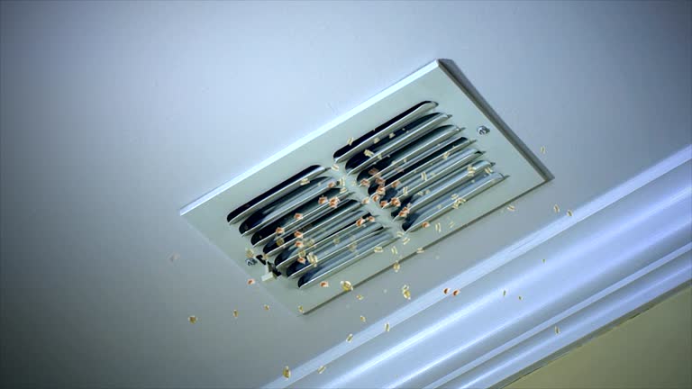Best Home Air Vent Cleaning  in Shorewood, WI